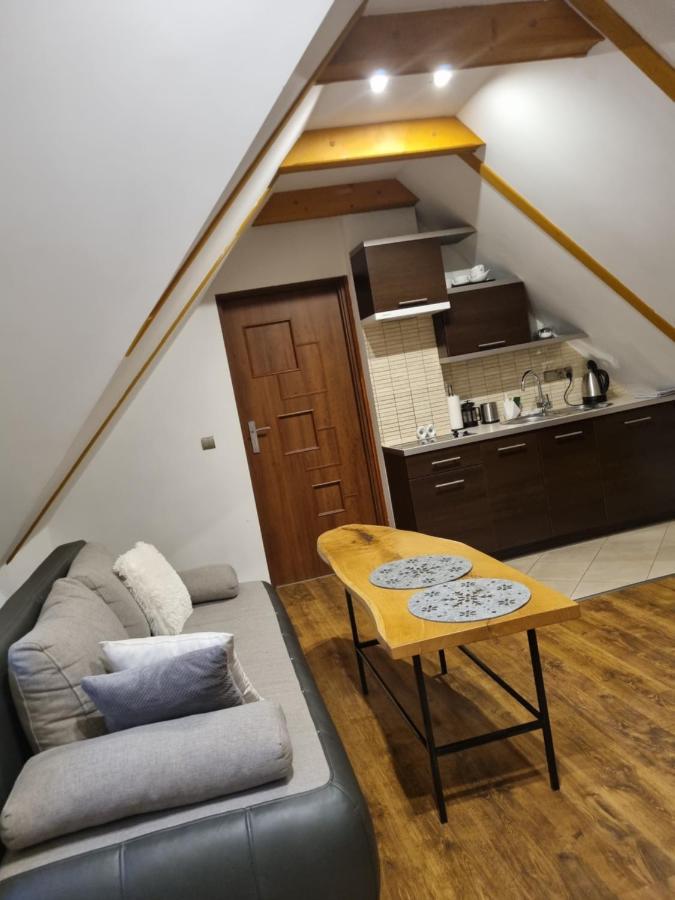 Apartament Granat 2 زاكوباني المظهر الخارجي الصورة